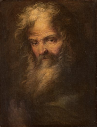 Bearded Prophet by Salvator Rosa